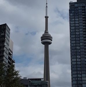 Meet your Posher, Mary ann